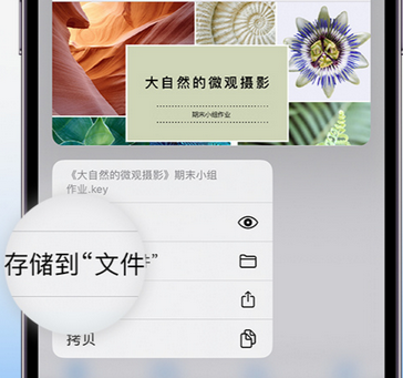 奇台apple维修中心分享iPhone文件应用中存储和找到下载文件