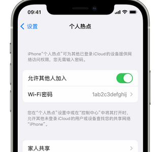 奇台apple服务站点分享iPhone上个人热点丢失了怎么办