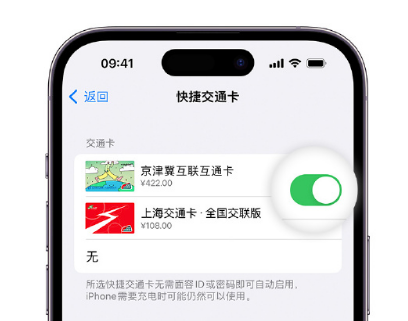 奇台apple维修点分享iPhone上更换Apple Pay快捷交通卡手绘卡面 