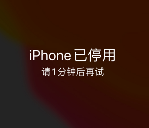 奇台苹果手机维修分享:iPhone 显示“不可用”或“已停用”怎么办？还能保留数据吗？ 