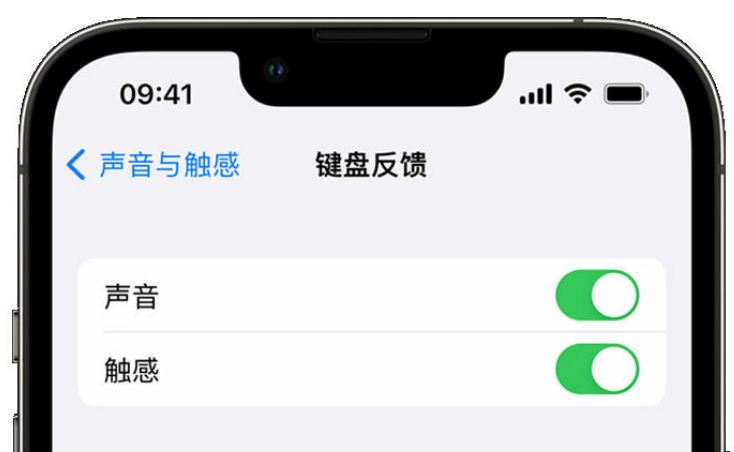 奇台苹果手机维修分享iPhone 14触感键盘使用方法 