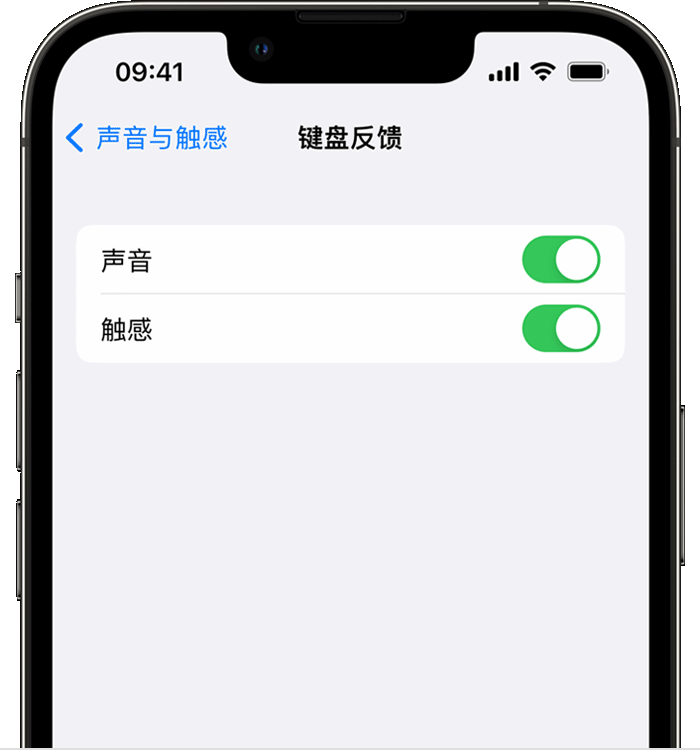 奇台苹果14维修店分享如何在 iPhone 14 机型中使用触感键盘 