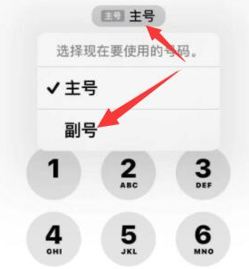 奇台苹果14维修店分享iPhone 14 Pro Max使用副卡打电话的方法 