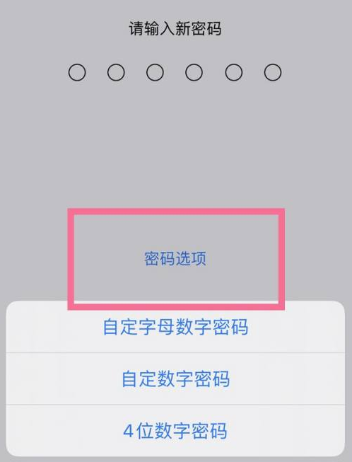 奇台苹果14维修分享iPhone 14plus设置密码的方法 