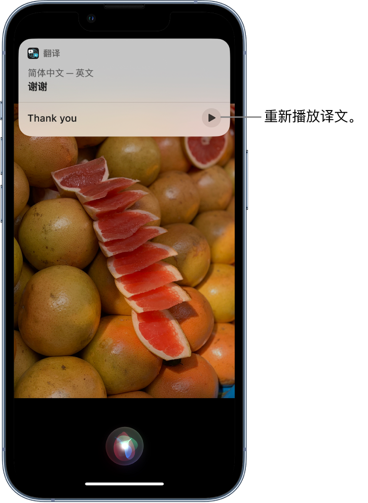 奇台苹果14维修分享 iPhone 14 机型中使用 Siri：了解 Siri 能帮你做什么 