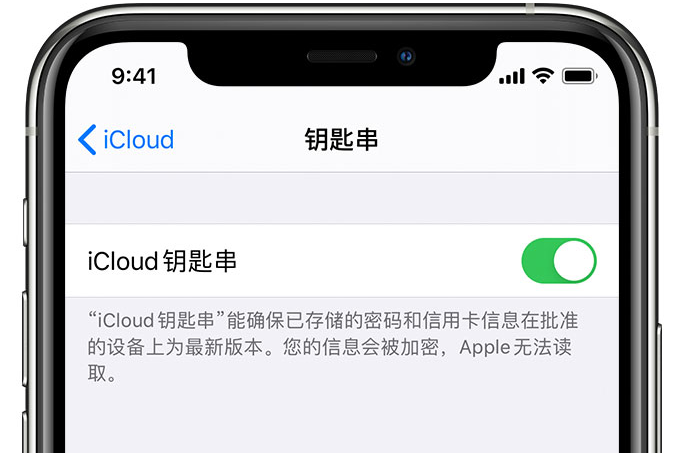 奇台苹果手机维修分享在 iPhone 上开启 iCloud 钥匙串之后会储存哪些信息 