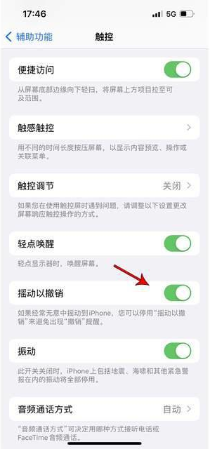 奇台苹果手机维修分享iPhone手机如何设置摇一摇删除文字 