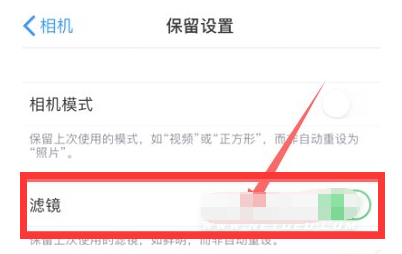奇台苹果13维修分享iPhone13拍照有绿点是怎么回事 