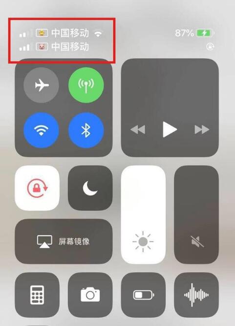 奇台苹果手机维修分享为 iPhone 12 双卡设置标签 