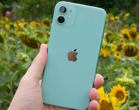 奇台苹果维修点分享iPhone 11锁屏密码认知与使用科普 
